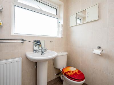 Picture 16